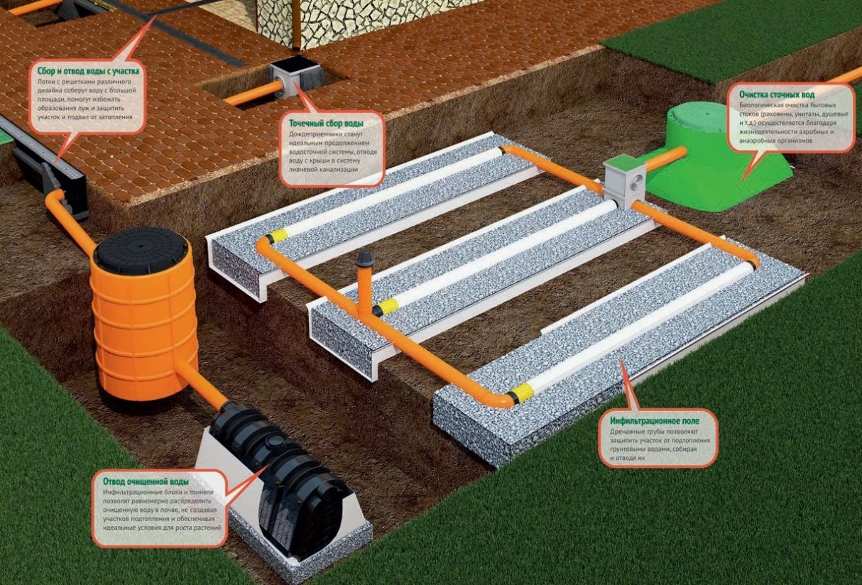 ���������� ����� ����� ����� ������� ������������