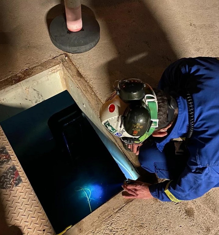 ������������� ������������ ������ � ����������