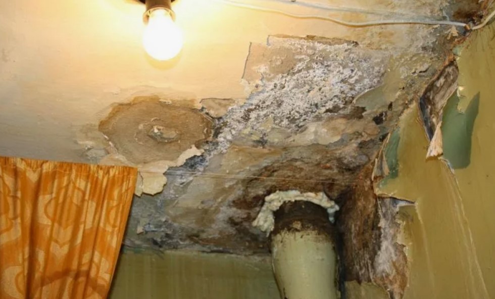 ���������� ����� ����������